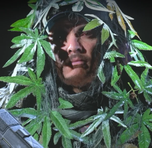 《使命召唤：现代战争III》（Call of Duty: Modern Warfare III）的多人游戏球发售，显然让玩家可以使用大麻来杀害对手